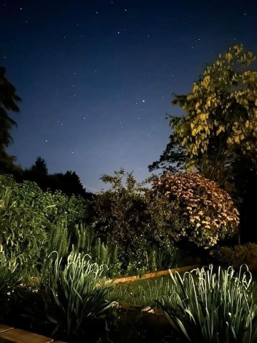 Linden Suite ゴーリング エクステリア 写真